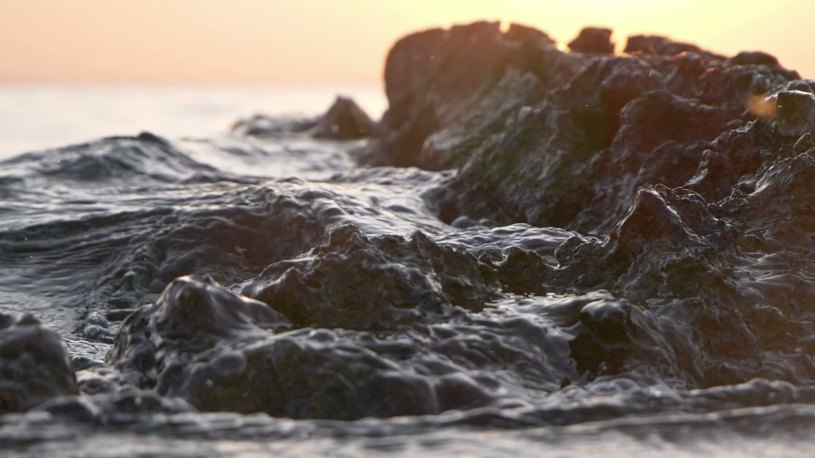 Modern Web Architecture: Microservices & Event Streams (Field Edition: 4K Director Cut)
